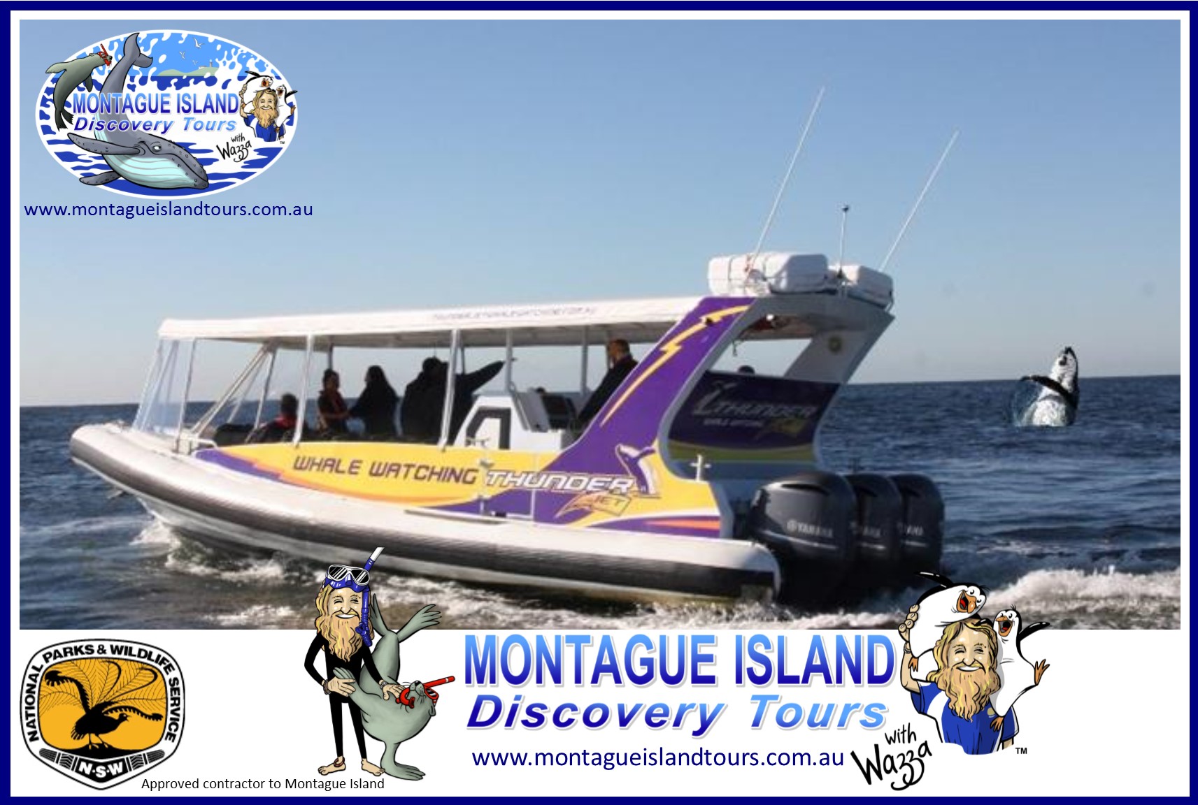 montague island penguin tours